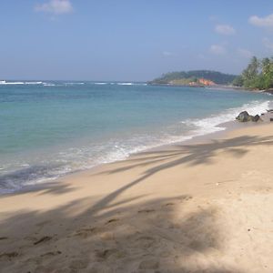 SunRay Rest - Beach View Homestay
